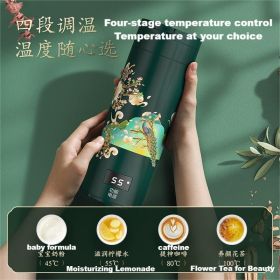 Chinese style portable water kettle small mini thermostat office travel heat preservation all-in-one electric heating water glass